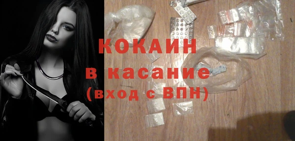прущие грибы Краснотурьинск