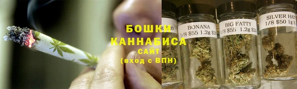 ГАЛЛЮЦИНОГЕННЫЕ ГРИБЫ Коряжма