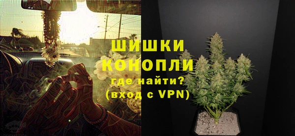 ГАЛЛЮЦИНОГЕННЫЕ ГРИБЫ Коряжма
