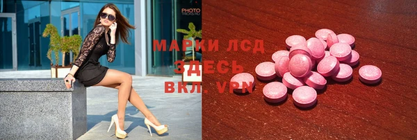 ГАЛЛЮЦИНОГЕННЫЕ ГРИБЫ Коряжма