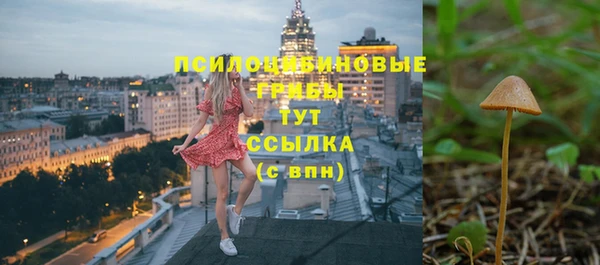 MESCALINE Корсаков